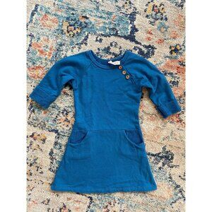 Gus and Steel Button Pocket Dress